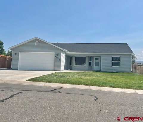 Orchid, MONTROSE, CO 81403