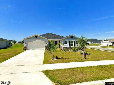 Begonia, MASCOTTE, FL 34753
