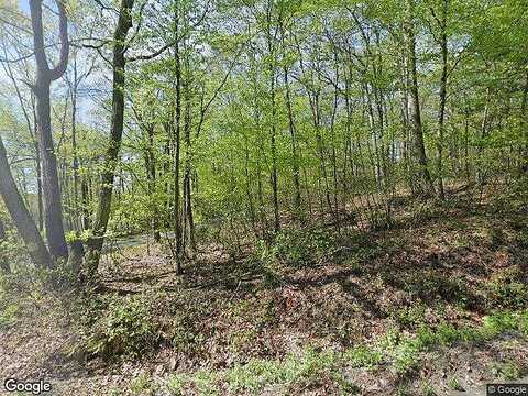 Owego, SHOHOLA, PA 18458