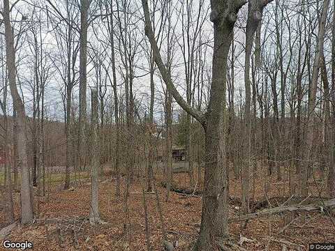Bartleson Deer, GREENTOWN, PA 18426