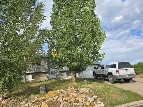 Clover, HAYDEN, CO 81639