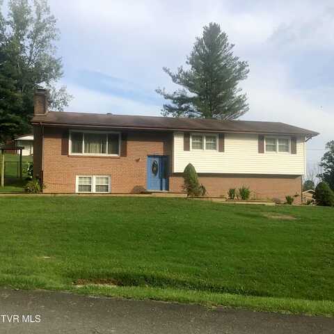 White Pine, BRISTOL, VA 24202
