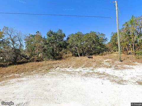 Mandrake, WEEKI WACHEE, FL 34613