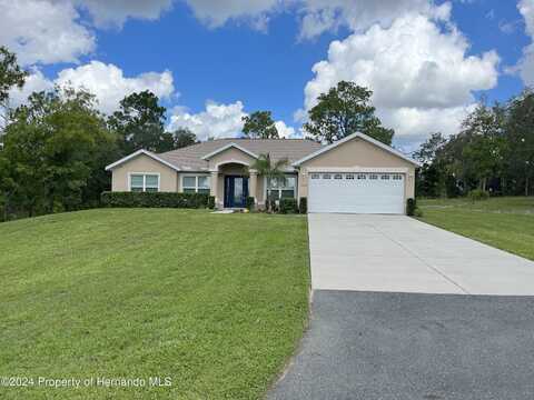 Mandrake, WEEKI WACHEE, FL 34613