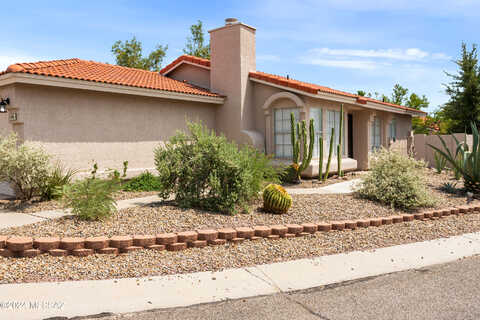 Kingbird, TUCSON, AZ 85742