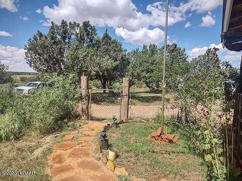 Jay, SNOWFLAKE, AZ 85937