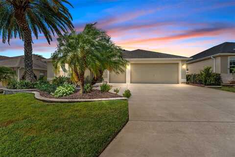 Owl, THE VILLAGES, FL 32163