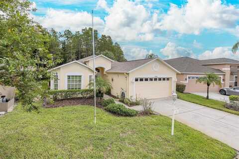 Dustan, TRINITY, FL 34655