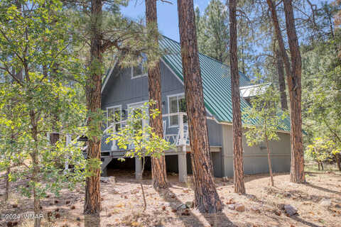 Johnson, SHOW LOW, AZ 85901
