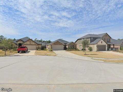 Steven Falls, SPRING, TX 77386