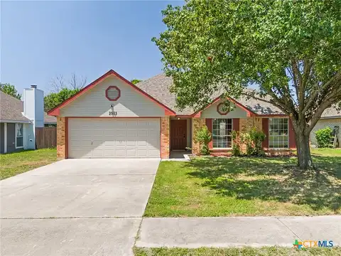 Armadillo, KILLEEN, TX 76549