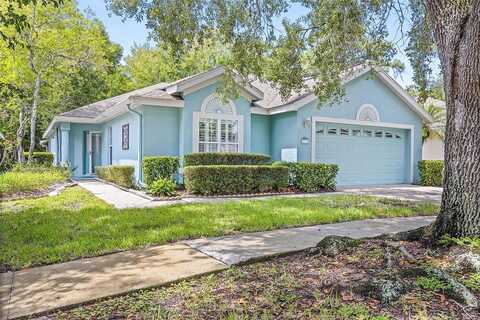 Stafford Springs, MOUNT DORA, FL 32757