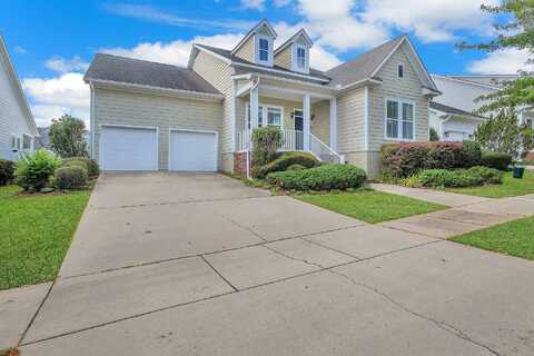 Rain Lily, TALLAHASSEE, FL 32311