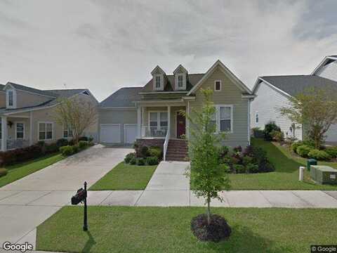 Rain Lily, TALLAHASSEE, FL 32311