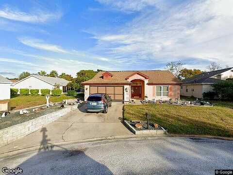 Thatch, HUDSON, FL 34667