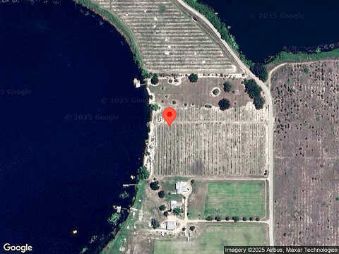 Hanoverian, LAKE ALFRED, FL 33850