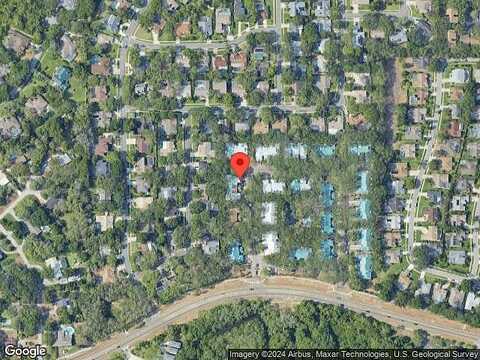 Walnut, PALM HARBOR, FL 34683