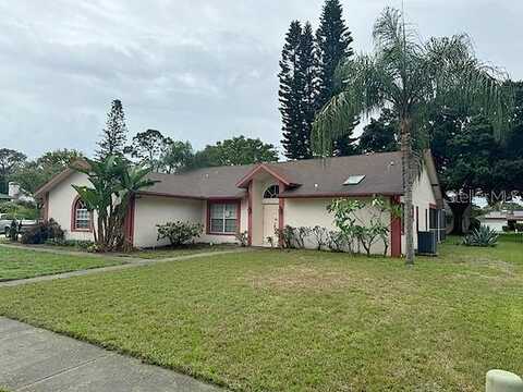 Kestrel, PALM HARBOR, FL 34683