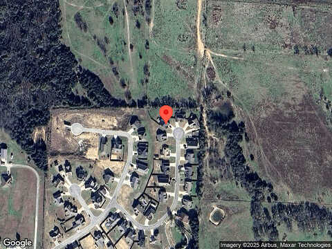 Willow Tree, POTTSBORO, TX 75076