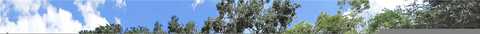 Levern, CLEARWATER, FL 33755
