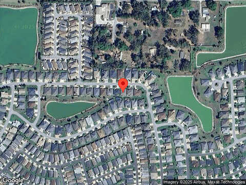 Cedar Waxwing, THE VILLAGES, FL 32163