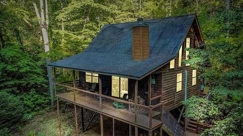 Millstone Mountain Lane, Blue Ridge, GA 30513
