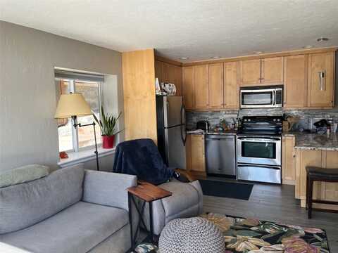 Tenderfoot Street #16, DILLON, CO 80435