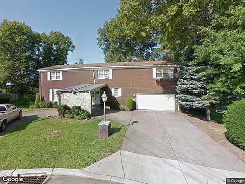 Pine Tree, HERMITAGE, PA 16148