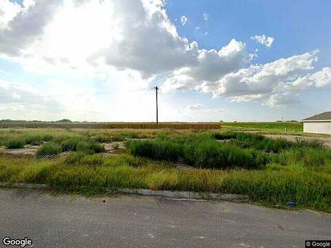Las Palmas Avenue, Hidalgo, TX 78557