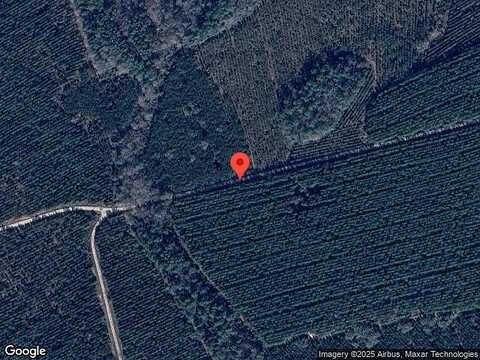 Doctors Creek Rd Ne, Ludowici, GA 31316
