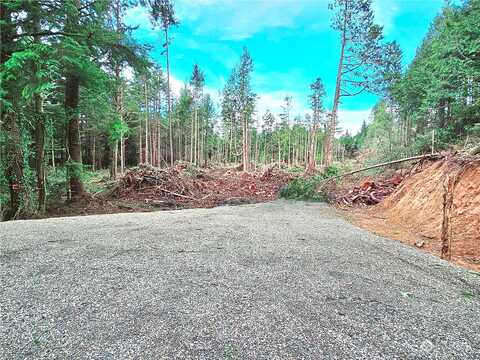 Xx 40Th Street, Seaview, WA 98644