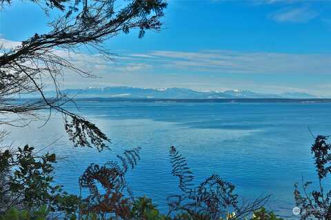 Eagle Bluff Road, Greenbank, WA 98239