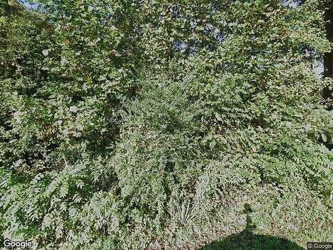 Lot 94 Crestview Rd, Wirtz, VA 24184