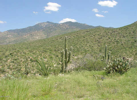 S Red Hill Road, Vail, AZ 85641