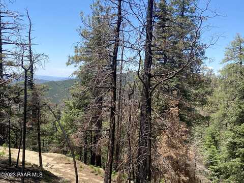 N Turkey Trot Trail, Prescott, AZ 86303