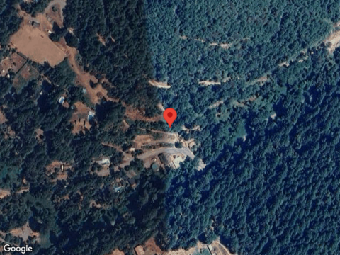 Flame Tree, BURNT RANCH, CA 95527