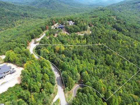 Blue Bonnet, MARIETTA, SC 29661