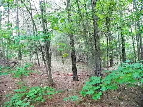 Eagles Harbor, HODGES, SC 29653