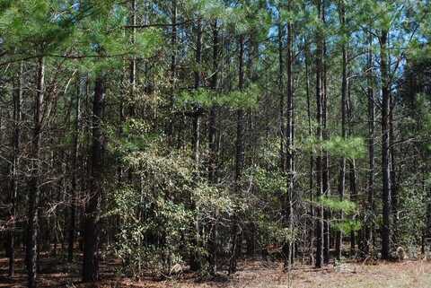 0 Hannah Road, Eastman, GA 31023