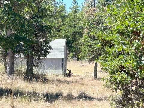 Lutz, GOLDENDALE, WA 98620