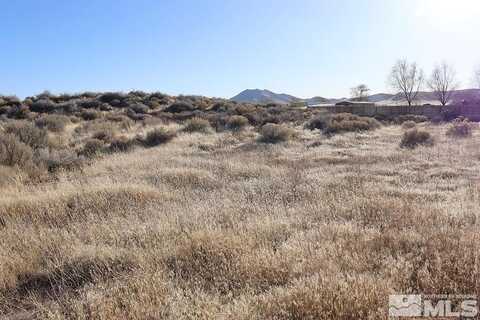 Mandy, WINNEMUCCA, NV 89445