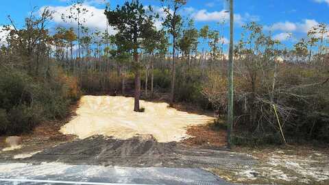 Stone Mill Creek, WEWAHITCHKA, FL 32465