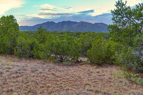 Wagon Trail, CERRILLOS, NM 87010