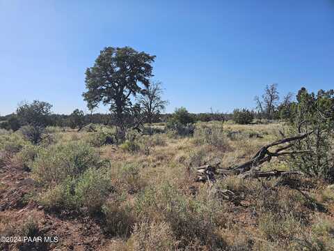 Red Butte, WILLIAMS, AZ 86046