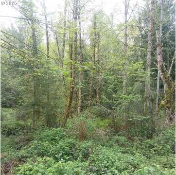 Aqua Springs, MOLALLA, OR 97038