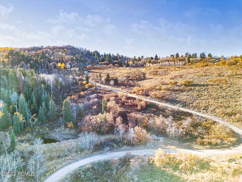 Bull Moose, COALVILLE, UT 84017