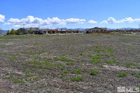 Monte Vista, MINDEN, NV 89423