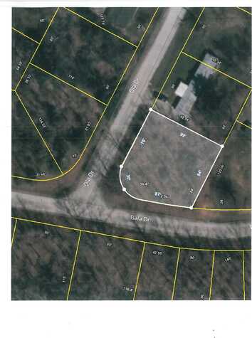 Ola, CROSSVILLE, TN 38572