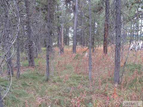 Pinehaven, ISLAND PARK, ID 83429