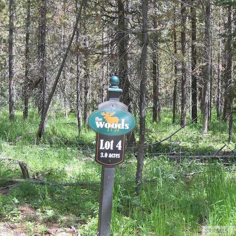 Wood, ISLAND PARK, ID 83429